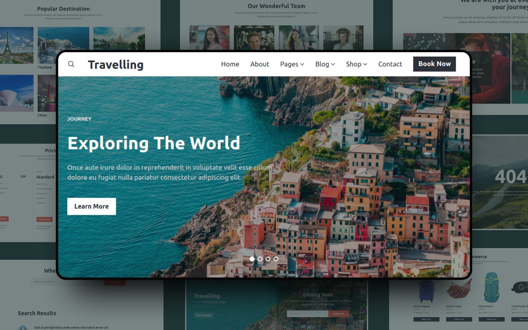 Travel Website